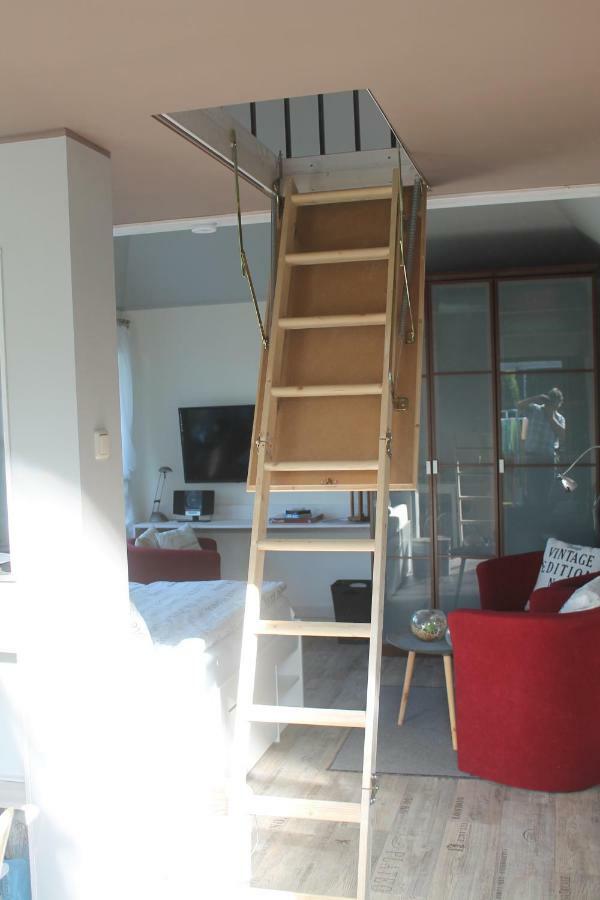 Ferienhaus Kleine Hexe Thale Exteriör bild